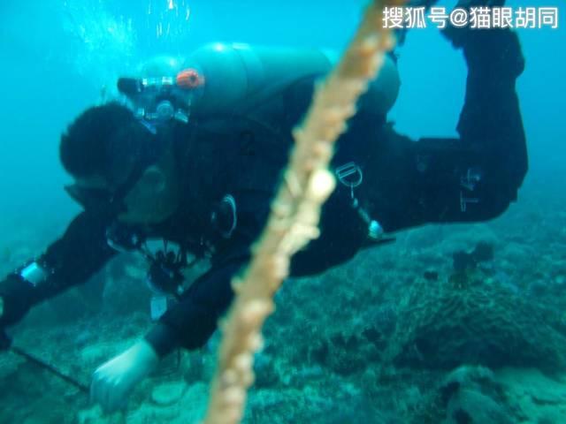 卡通世界杯找不同